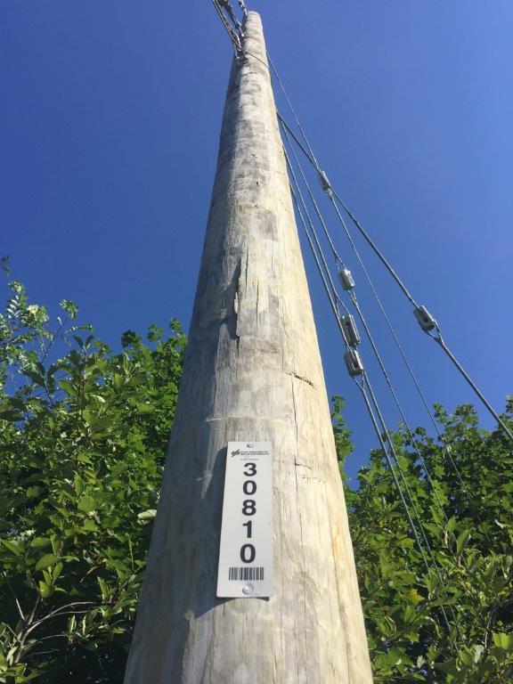 Hydro Pole Number